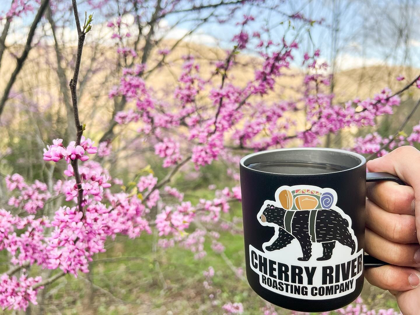 We hope you had the chance to see the many Spring colors in the area! Any guesses on this flowering pink tree native to WV? 🤔
.
.
.
.
.
.
#visitrichwood #richwood #richwoodwv #summersville #summersvillelake #summersvillewv #visitsummersville #fayett