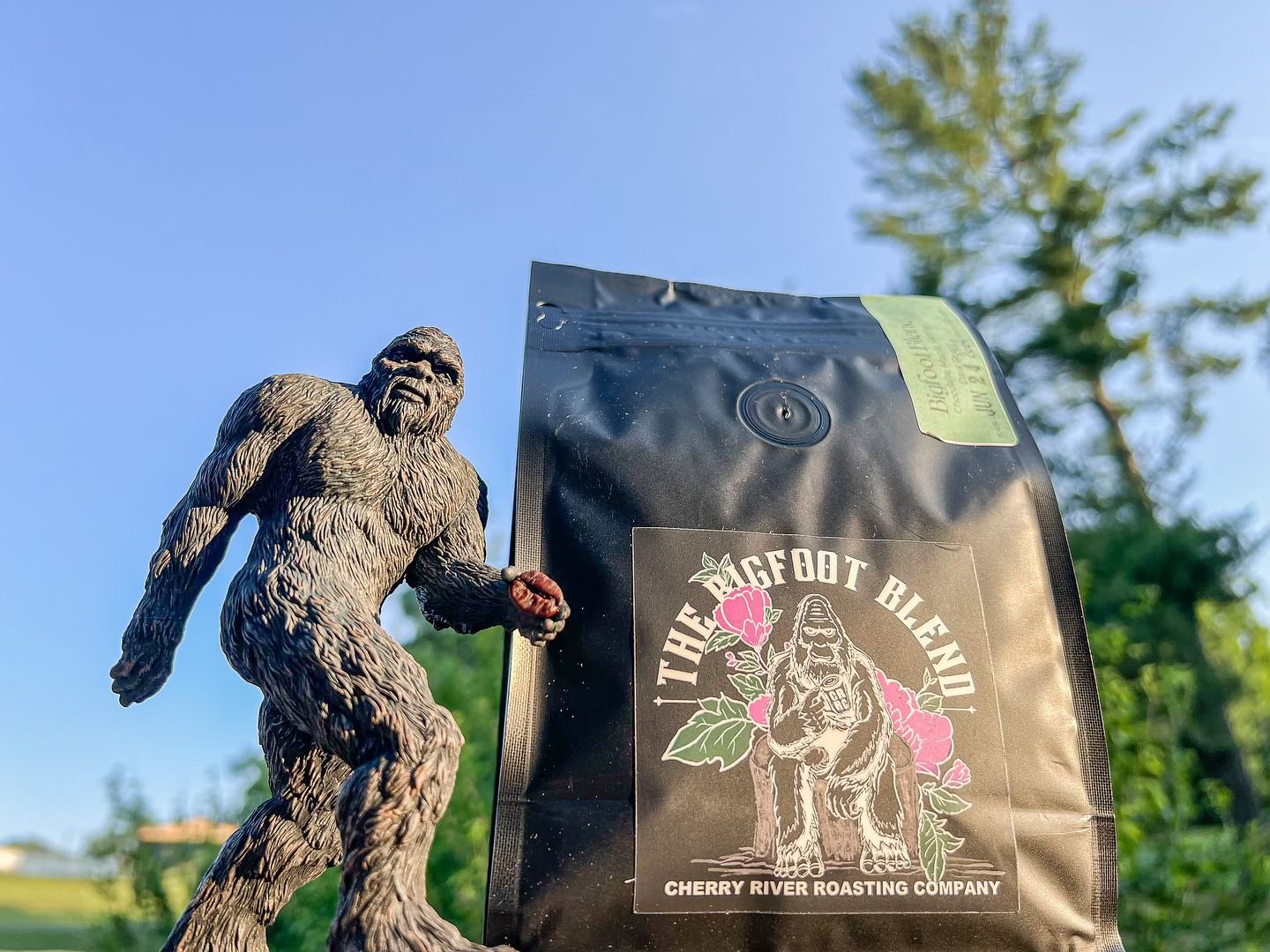 We&rsquo;ve had a great time so far at the WV Bigfoot Festival! Catch us tomorrow for the last day of the event. We&rsquo;ll coffee bags, merchandise, and coffee for sale 🙌 Our coffee is Sasquatch approved!
.
.
.
.
.
#visitrichwood #richwood #richwo